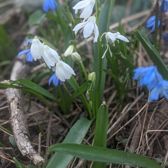 Meet your Posher, Françoise - Picture 1 of 1
